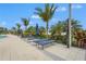 Inviting community pool area with palm trees and comfortable lounge chairs, perfect for relaxation at 11959 Tapestry Ln, Venice, FL 34293