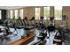 Well-equipped gym featuring various cardio machines and equipment for fitness enthusiasts at 4861 Waterbridge Down, Sarasota, FL 34235