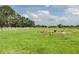 A vast grassy front yard enclosed by a white fence at 5403 Red Rooster Rd, Parrish, FL 34219