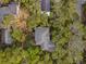 Aerial view highlighting the house roof and surrounded by lush green trees at 5716 Bayshore Blvd, Tampa, FL 33611