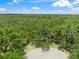 Expansive property with mature trees and lush greenery, offering privacy and natural beauty at 7234 Letitia Ln, Sarasota, FL 34241