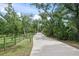 A long, private driveway leading to the estate, framed by mature trees, offering seclusion and privacy at 7234 Letitia Ln, Sarasota, FL 34241