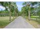 Long driveway lined with palm trees leads to the property at 7234 Letitia Ln, Sarasota, FL 34241