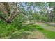 Lush backyard featuring mature trees, ferns, and well-maintained grass at 7234 Letitia Ln, Sarasota, FL 34241