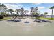 Outdoor basketball court surrounded by palm trees, providing a scenic recreational space at 9646 Ivory Dr, Ruskin, FL 33573