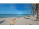Sandy beach with palm trees and rock barrier along the coast overlooking the ocean at 1042 N Casey Key Rd, Osprey, FL 34229