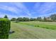 Beautiful backyard featuring lush grass, mature trees, and well-maintained landscaping at 12811 Penguin Dr, Bradenton, FL 34212