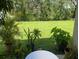 Charming backyard view with a well-maintained lawn and various potted plants at 141 Tierra Verde Way, Bradenton, FL 34212