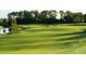 Beautiful golf course view with rolling green fairways, tranquil lake, and mature trees under a bright sky at 17510 Gawthrop Dr # 206, Bradenton, FL 34211