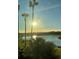 Picturesque lake view featuring swaying palm trees on a sunny day at 17510 Gawthrop Dr # 206, Bradenton, FL 34211
