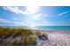 Picturesque beach with white sand, blue ocean, and lush dunes, perfect for relaxation and enjoying nature at 2282 Harbour Court Dr, Longboat Key, FL 34228
