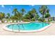 Community pool surrounded by palm trees and lounge chairs, perfect for relaxation at 3213 Cambridge Ave, Bradenton, FL 34207