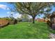 Well-maintained backyard with lush lawn, mature trees, and partial fence at 3301 62Nd Street W Cir, Bradenton, FL 34209