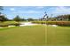 Scenic golf course view with a well-manicured green, a flag, and a serene pond surrounded by lush trees at 36750 Us 19 N # 03102, Palm Harbor, FL 34684