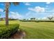 Beautiful green backyard with mature landscaping and picturesque views at 5402 Tidewater Preserve Blvd, Bradenton, FL 34208
