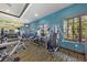 Well-equipped gym with modern exercise machines and bright, airy windows at 5402 Tidewater Preserve Blvd, Bradenton, FL 34208