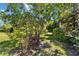 Secluded backyard featuring mature shade trees, landscaping and bench at 672 White Pine Tree Rd # 57, Venice, FL 34285