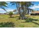 Expansive green backyard featuring lush grass, mature trees, and tropical palm trees under a clear blue sky with scattered clouds at 672 White Pine Tree Rd # 57, Venice, FL 34285