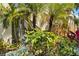 Landscaped exterior with palm trees and a pathway leading to the building entrance at 672 White Pine Tree Rd # 57, Venice, FL 34285