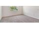 A sunlit bedroom features neutral carpet and a view of palm trees at 6800 Dunlin Ct, Sarasota, FL 34241
