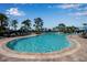 Resort-style pool surrounded by palm trees, lounge chairs, and cabanas under a blue sky at 12012 Legacy Estates Blvd, Sarasota, FL 34238