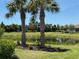 Scenic backyard pond with mature trees and lush green surroundings at 12291 Myrtle Bay Ct, Sarasota, FL 34238