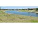 Scenic view of a tranquil pond within the community, surrounded by lush greenery at 12640 Felice Dr, Venice, FL 34293