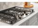 Close-up of a gas cooktop featuring stainless steel knobs and a sleek design at 13319 Deep Blue Pl, Bradenton, FL 34211