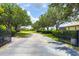 Long driveway bordered by mature trees and manicured landscaping leading to residences at 14210 9Th Ne Ter, Bradenton, FL 34212