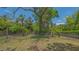 Large backyard surrounded by lush landscaping and a chain link fence at 1931 Bahia Vista St, Sarasota, FL 34239