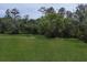 Lush green lawn surrounded by trees offering a private and serene outdoor space at 20706 79Th E Ave, Bradenton, FL 34202