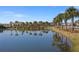 Scenic pond reflecting palm trees, a walking path, and neighborhood homes at 224 Caserta Ct, Nokomis, FL 34275