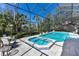 Stunning screened-in pool and spa with clear blue water, surrounded by lush landscaping for ultimate privacy at 3302 Sabal Cove Ln, Longboat Key, FL 34228