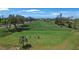 Scenic golf course view featuring lush green grass, golfers, mature trees and blue skies in desirable community at 3500 El Conquistador Pkwy # 301, Bradenton, FL 34210