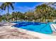 Large, sparkling blue community swimming pool with lounge chairs and lush landscaping, perfect for relaxation at 536 Lakeside Dr # 0, Bradenton, FL 34210