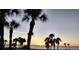 Beautiful beach sunset view with palm trees silhouetted against the colorful sky at 9774 Highland Park Pl, Palmetto, FL 34221