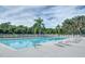 Bright community pool surrounded by plenty of lounge chairs and tall trees at 11447 Savannah Lakes Dr, Parrish, FL 34219