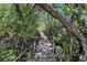 Community walkway through a beautiful natural setting at 12 Tidy Island Blvd, Bradenton, FL 34210