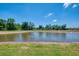 Peaceful view of the pond with lush green grass and trees, under a clear blue sky with light clouds at 12315 Canavese Ln, Venice, FL 34293