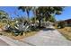 View of the home's front yard and driveway, featuring beautiful and mature landscaping and various palm trees at 2448 45Th S St, St Petersburg, FL 33711