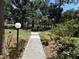 Concrete walkway surrounded by manicured gardens with flowering plants and mature trees at 425 30Th W Ave # C204, Bradenton, FL 34205