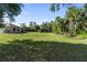 Expansive backyard with lush green grass and mature trees, perfect for outdoor activities and relaxation at 5955 Ferendina St, North Port, FL 34291