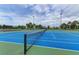 Community tennis courts with lighting and lush landscaping at 9819 46Th E Ct, Parrish, FL 34219