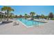 Community pool area with palm trees, lounge chairs, and clear blue swimming pool at 11713 Chevelon Ln, Parrish, FL 34219