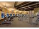 Well-equipped gym featuring modern exercise machines and ample space at 13786 Vancanza Dr, Venice, FL 34293