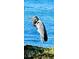 A beautiful heron standing still on a rock overlooking the calming blue sea and swaying grasses at 36 N Starboard Dr, Venice, FL 34285