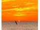 Sunset view showing a silhouette of a bird against the horizon and a calming sea view at 36 N Starboard Dr, Venice, FL 34285