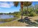 Picturesque pond with lily pads and a picnic area under palm trees, ideal for relaxing outdoors at 5633 Key Largo Ct # B-08, Bradenton, FL 34203