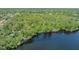 Scenic aerial view of a lake, surrounded by dense, mature trees, providing privacy at 7912 Estates Dr, Sarasota, FL 34243