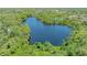 Aerial view of a large lake surrounded by dense green foliage, offering a serene and natural setting at 7912 Estates Dr, Sarasota, FL 34243